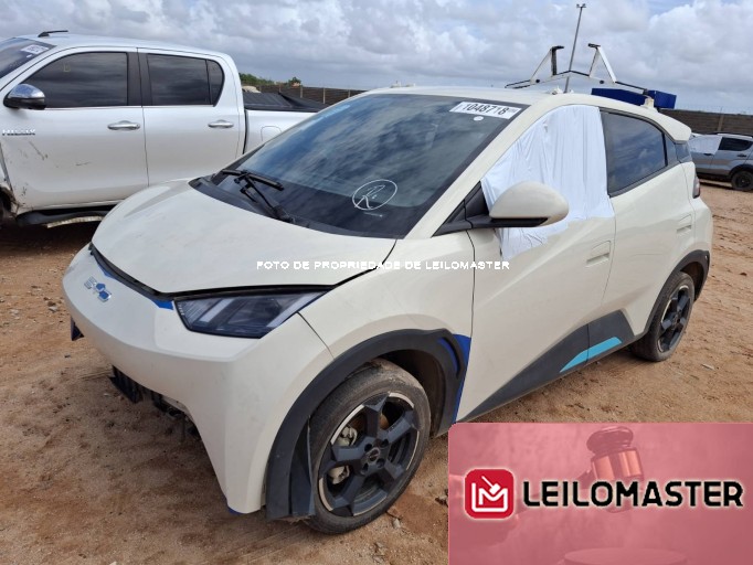 BYD DOLPHIN MINI 24/25