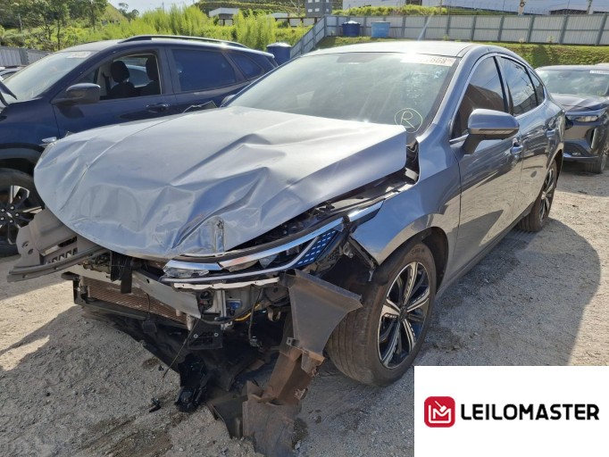 BYD KING 24/25 