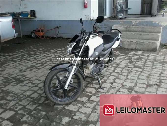 Thumb LOTE-29